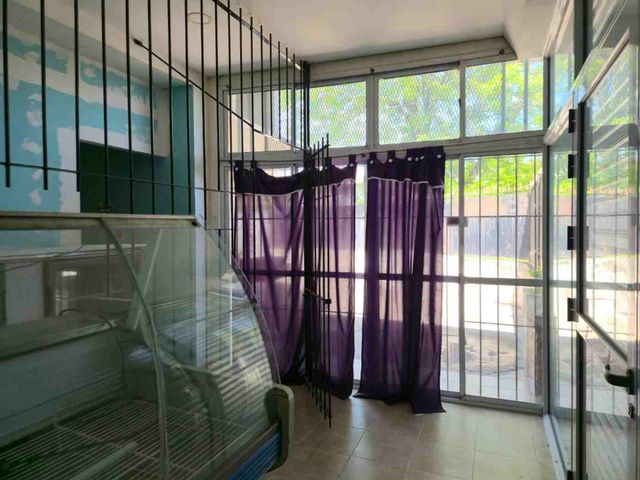 place photo 32