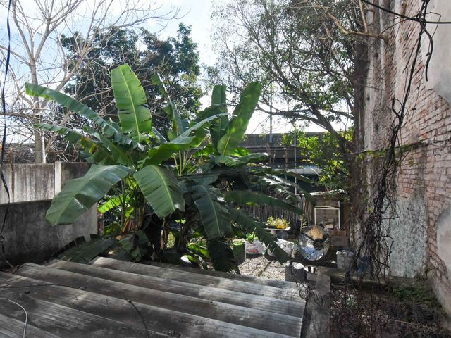 place photo 44