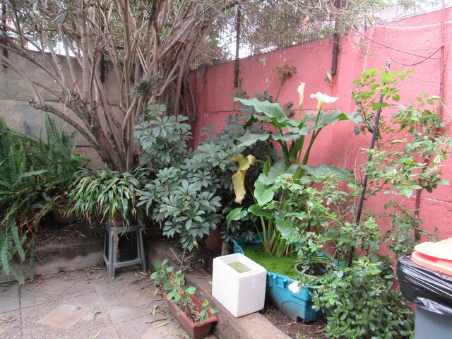 place photo 20