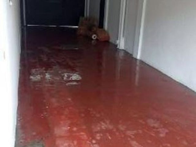 place photo 46