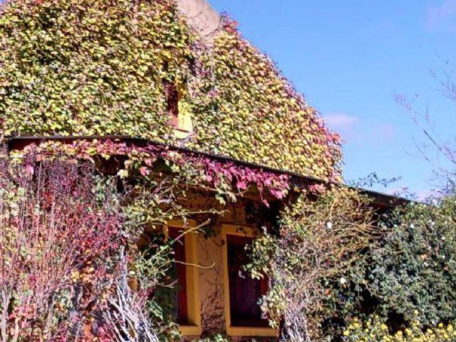 place photo 45