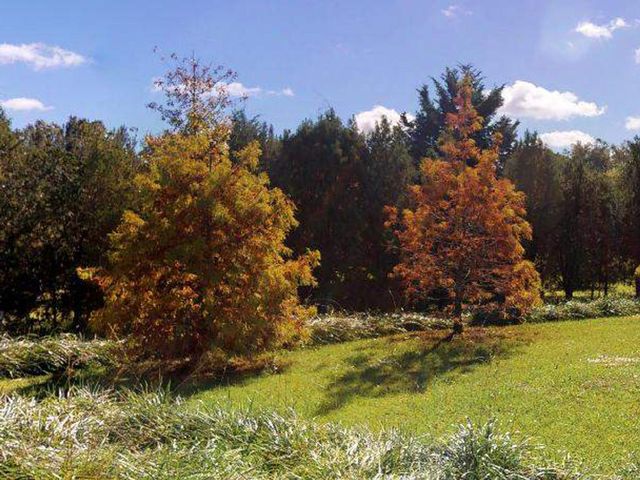 place photo 41