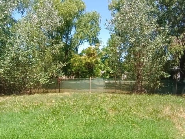place photo 43