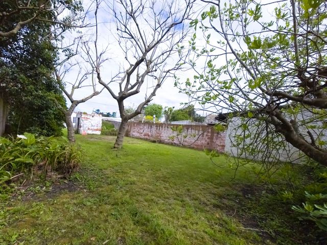 place photo 31