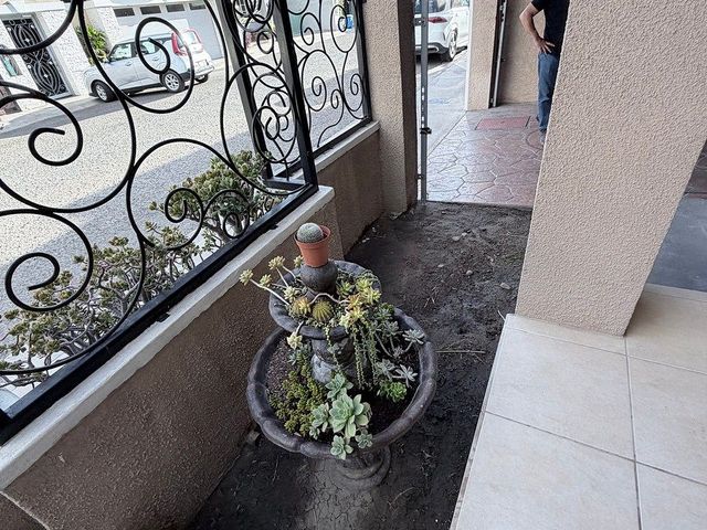 place photo 49