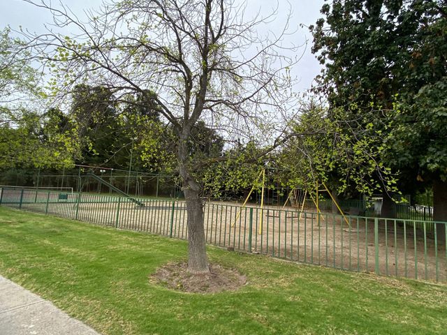 place photo 35