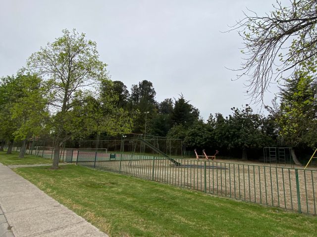 place photo 36