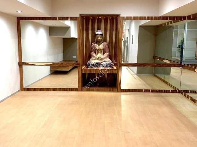 place photo 46