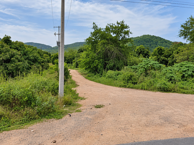 place photo 17