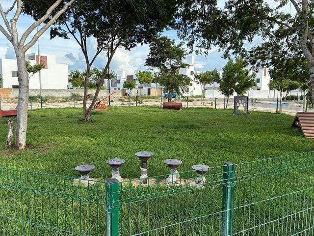 place photo 15