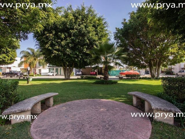 place photo 44