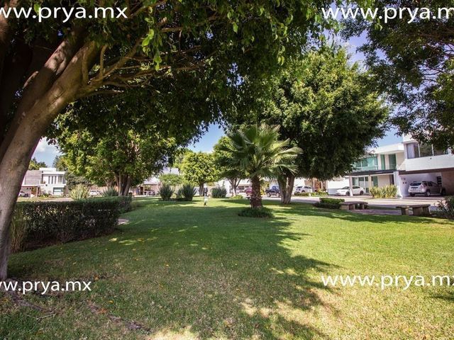 place photo 45