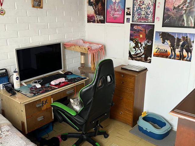 place photo 12