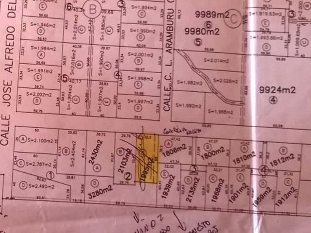place photo 22