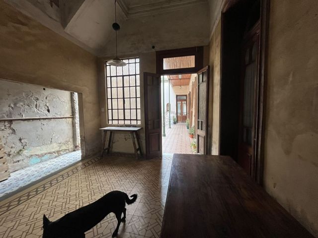 place photo 37