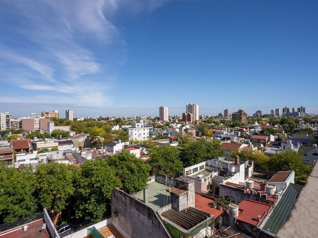 place photo 26
