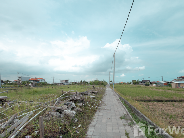 place photo 46