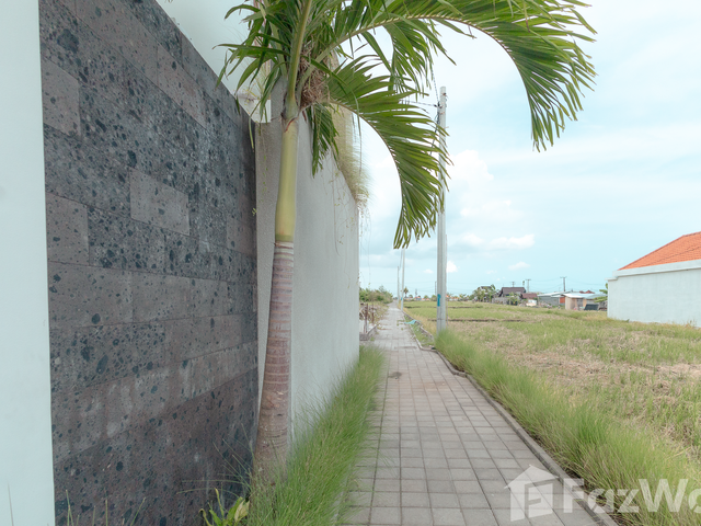 place photo 47