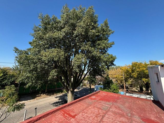 place photo 46