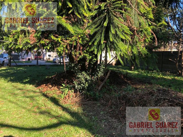 place photo 25