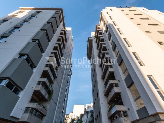 place photo 68