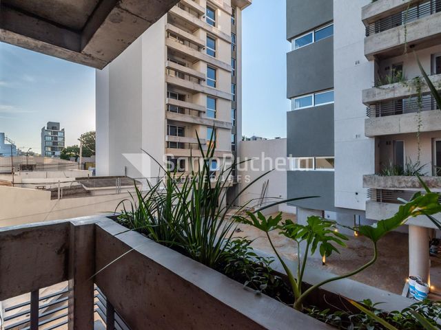 place photo 67