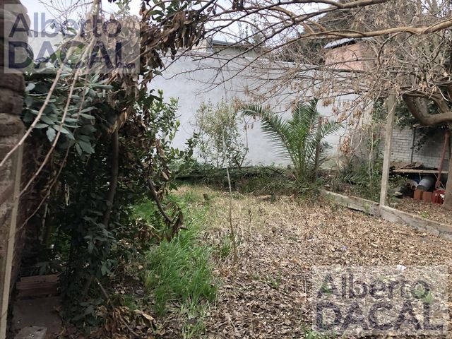 place photo 37