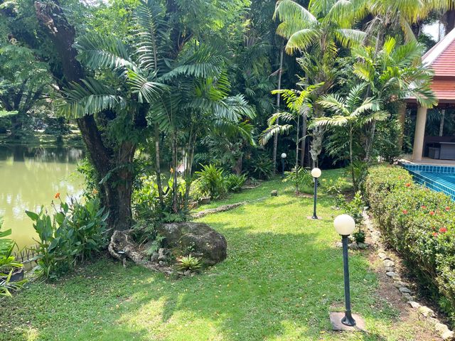 place photo 44