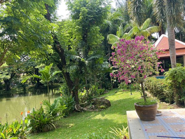 place photo 43