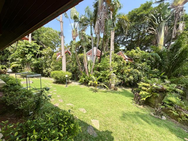 place photo 39