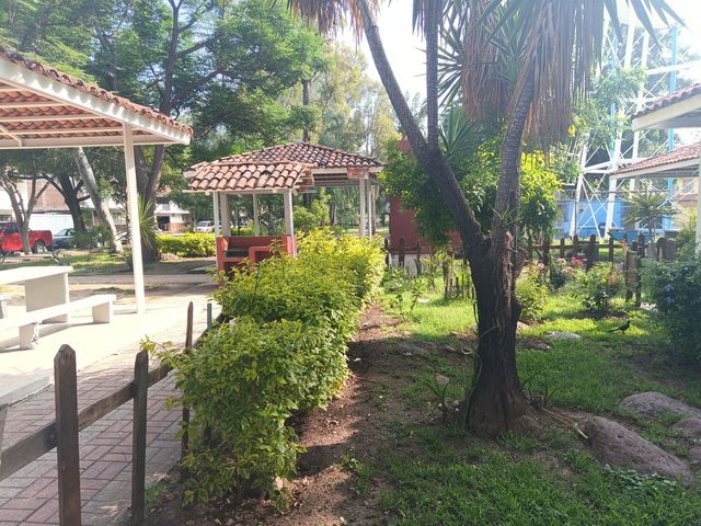 place photo 26