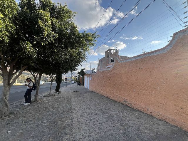 place photo 43