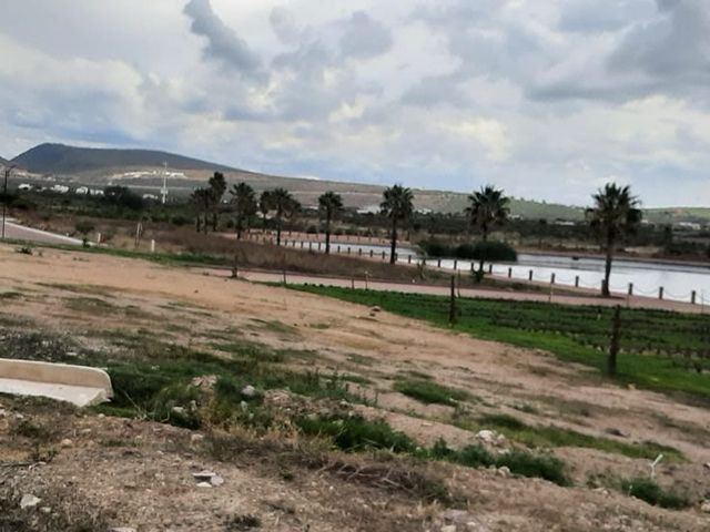 place photo 34