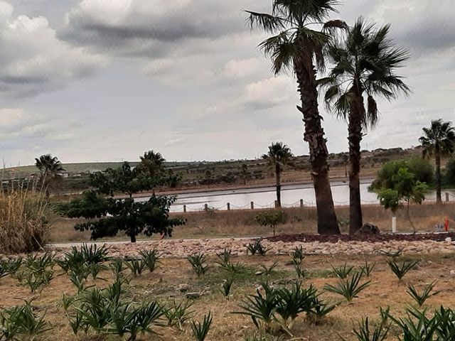 place photo 35