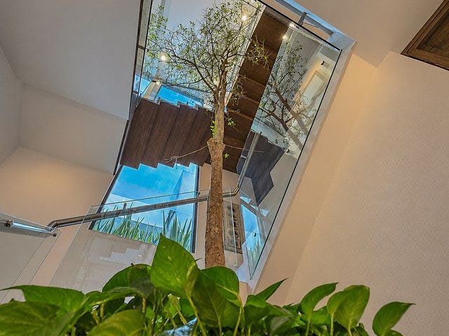 place photo 36