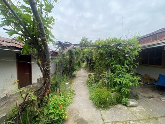 place photo 13