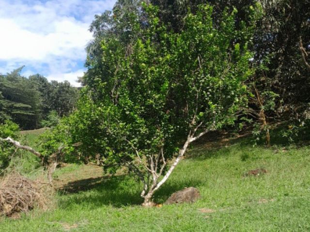 place photo 20