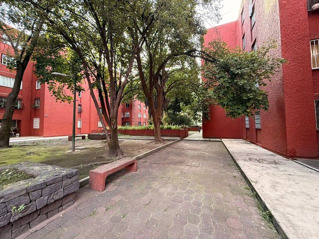 place photo 14