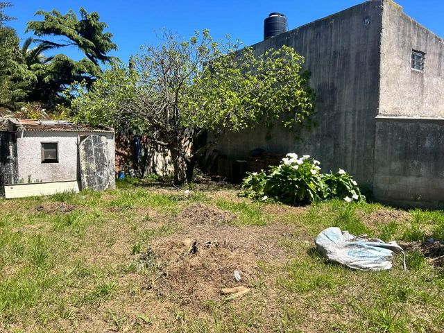 place photo 13