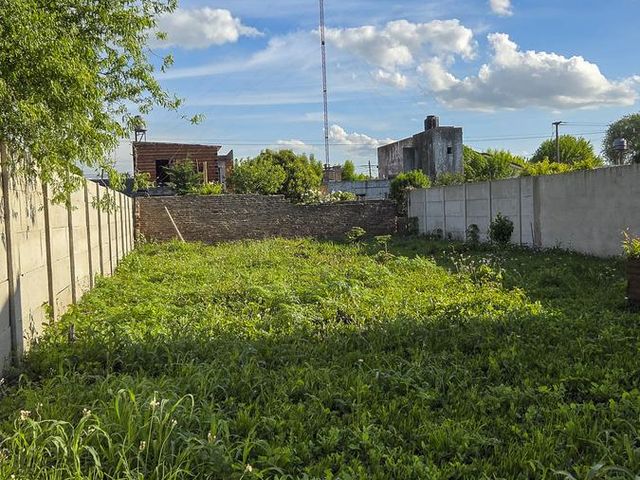 place photo 16