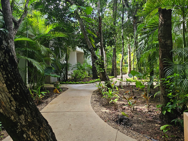 place photo 26