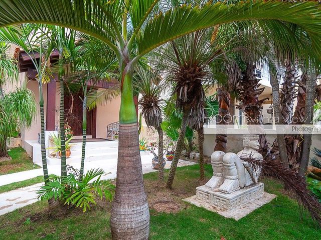 place photo 47