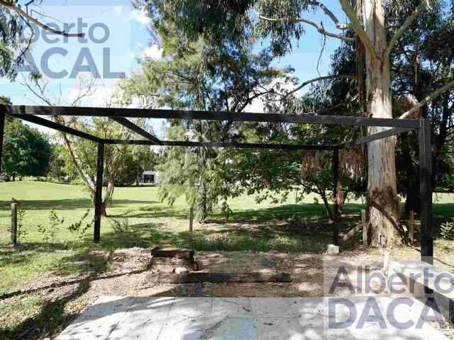 place photo 42