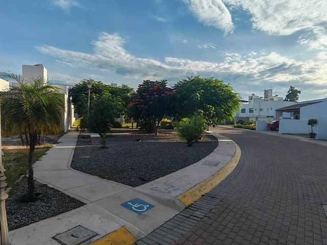 place photo 29