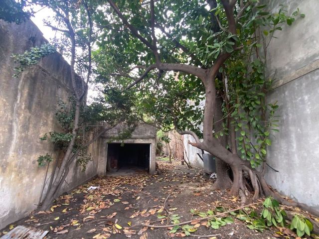place photo 42