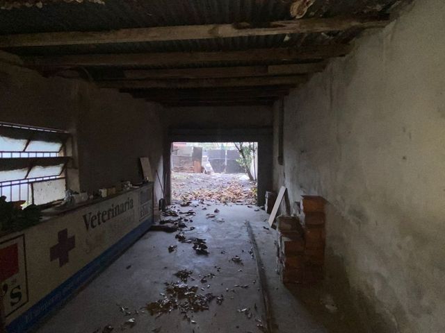 place photo 37