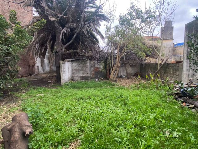 place photo 30