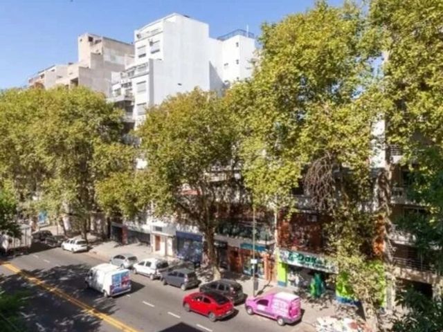 place photo 24