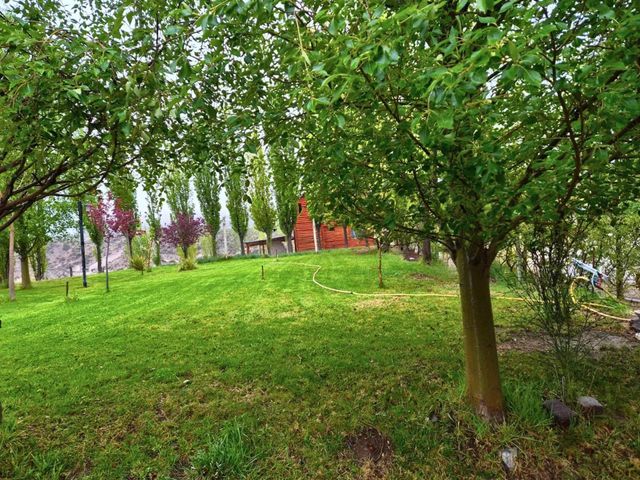 place photo 47