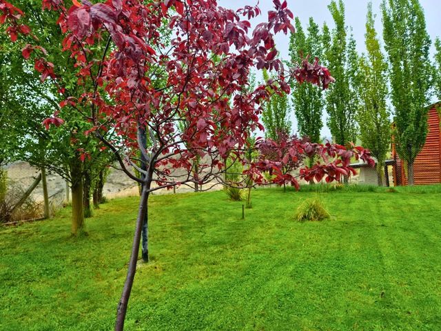 place photo 44
